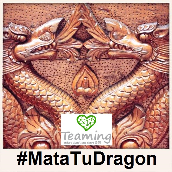 Mata a tu Dragón